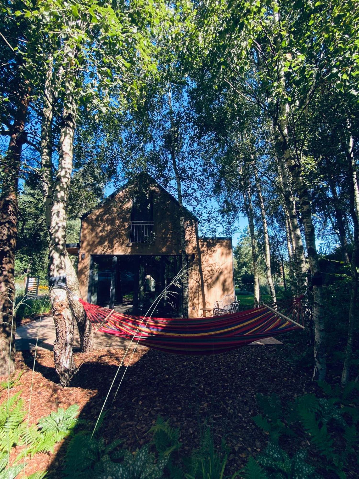 Miedzy Brzozami / Domy W Lesie Ciekocino Exteriör bild